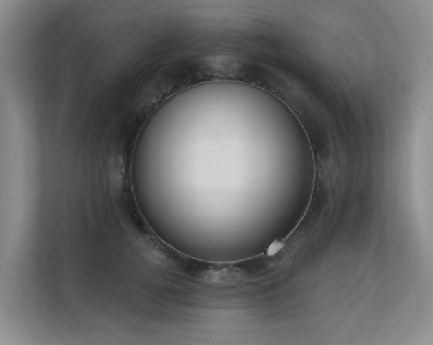 X0000110720752200906121428