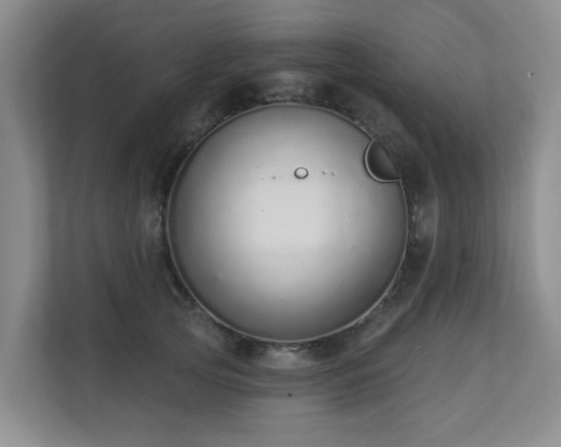 X0000110720753200906121428