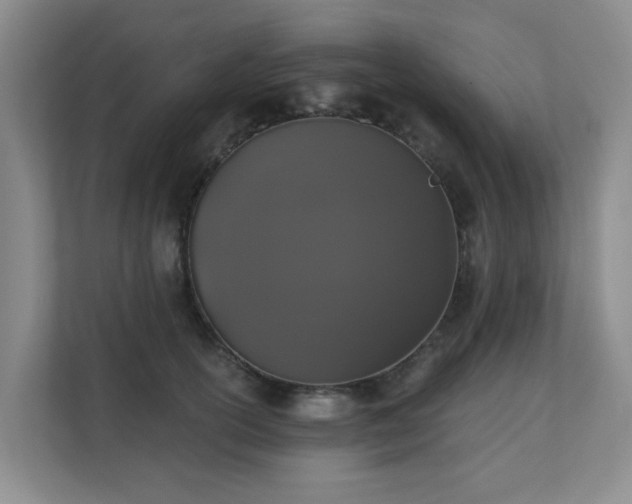 X0000110720754200906121428