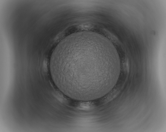 X0000110720757200906121428