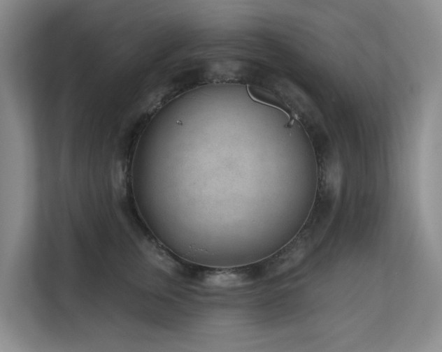 X0000110720759200906121428