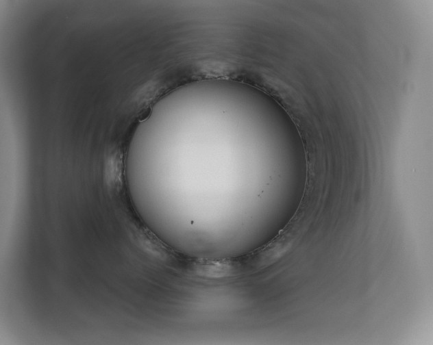X0000110720768200906121428