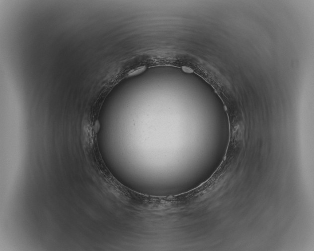 X0000110720772200906121427