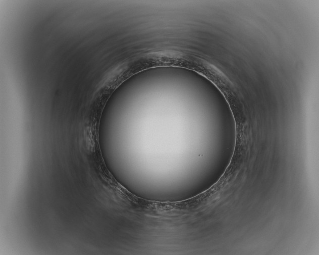 X0000110720774200906121427