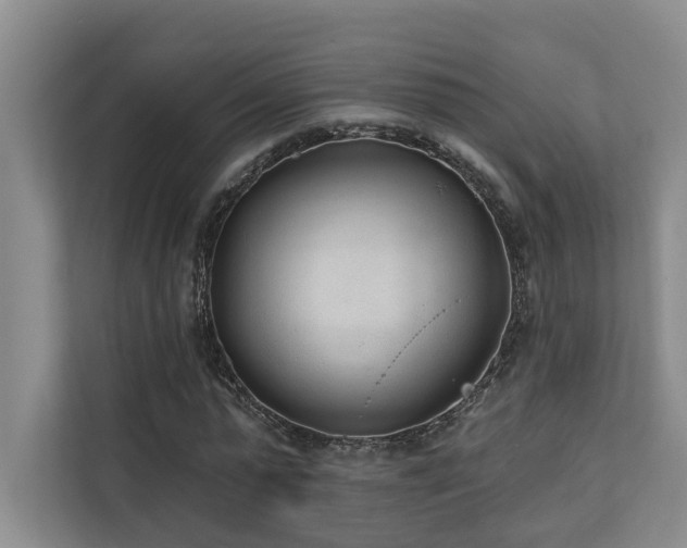 X0000110720775200906121427