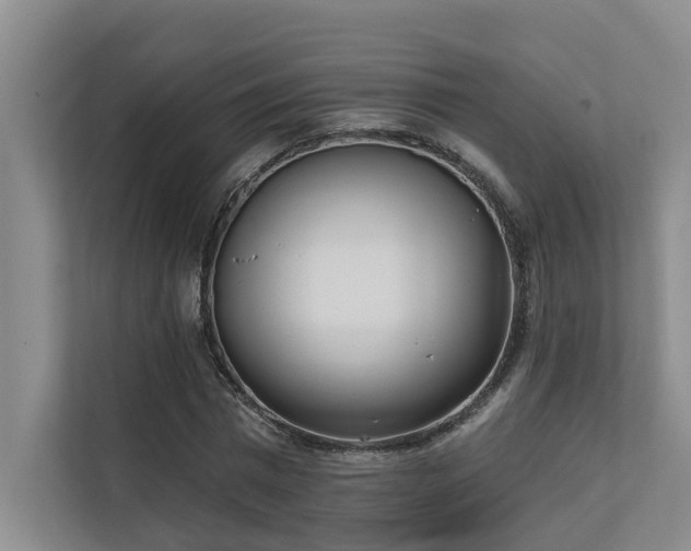 X0000110720777200906121427
