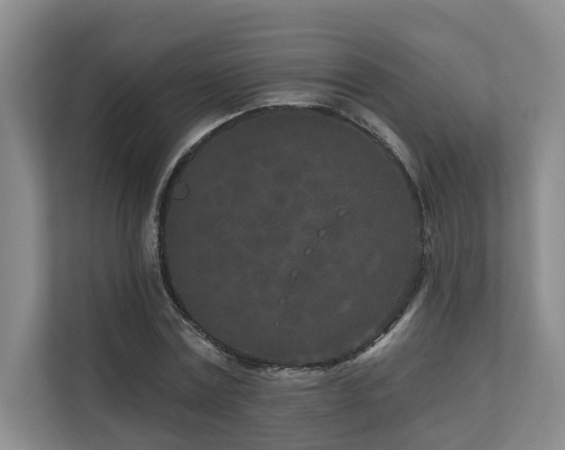 X0000110720779200906121427