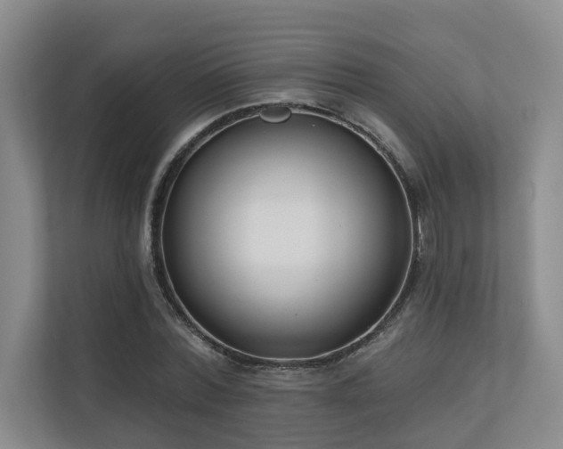 X0000110720780200906121427