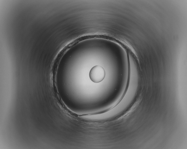 X0000110720781200906121427