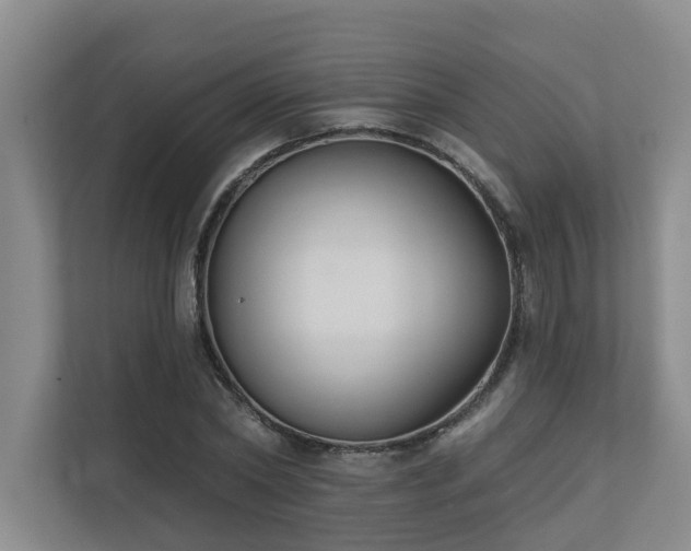 X0000110720782200906121427