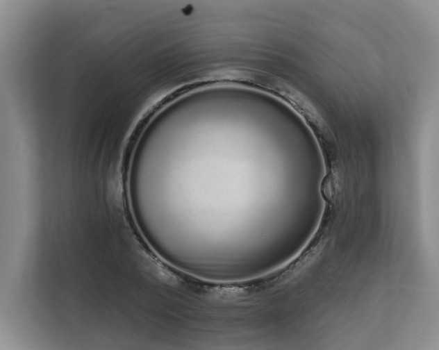 X0000110720784200906121427