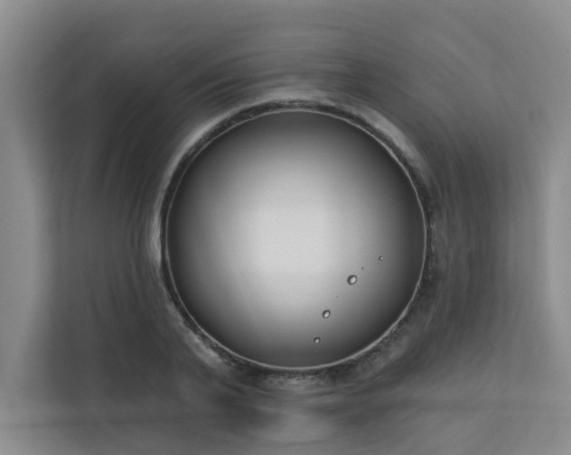 X0000110720791200906121427
