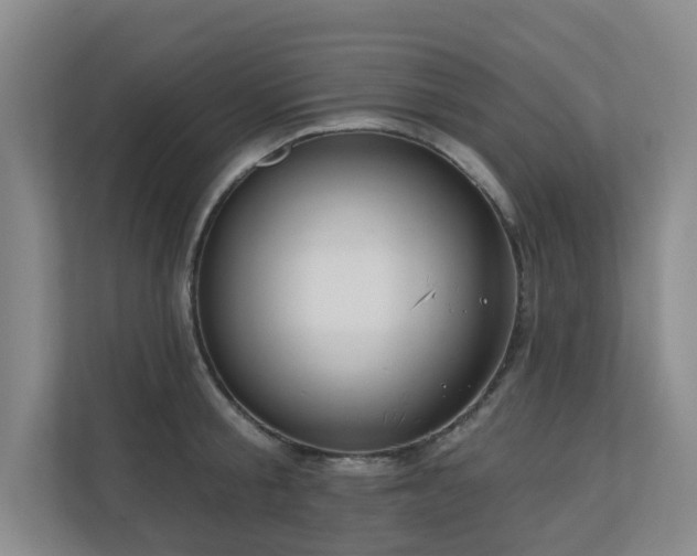 X0000110720805200906121427