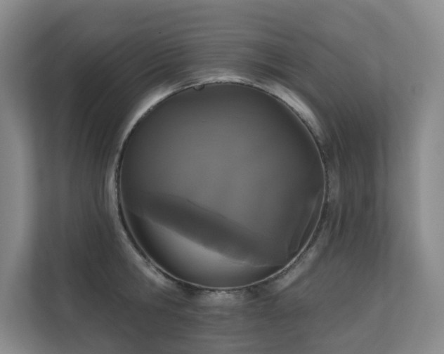 X0000110720806200906121427