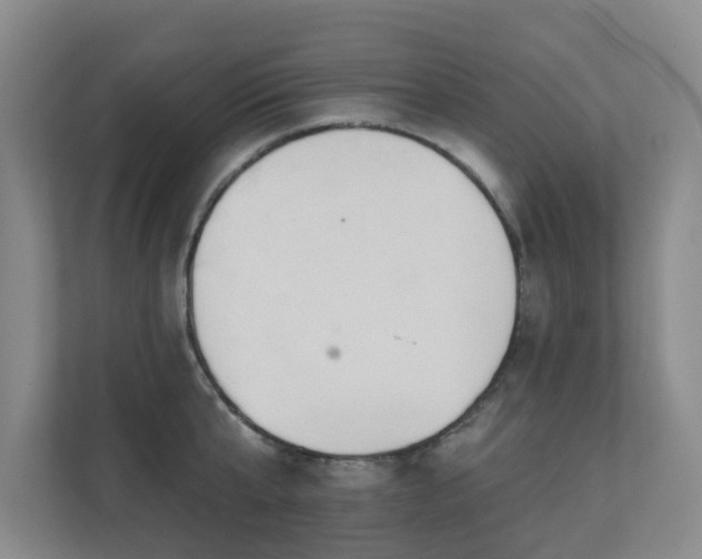 X0000110720807200906121427