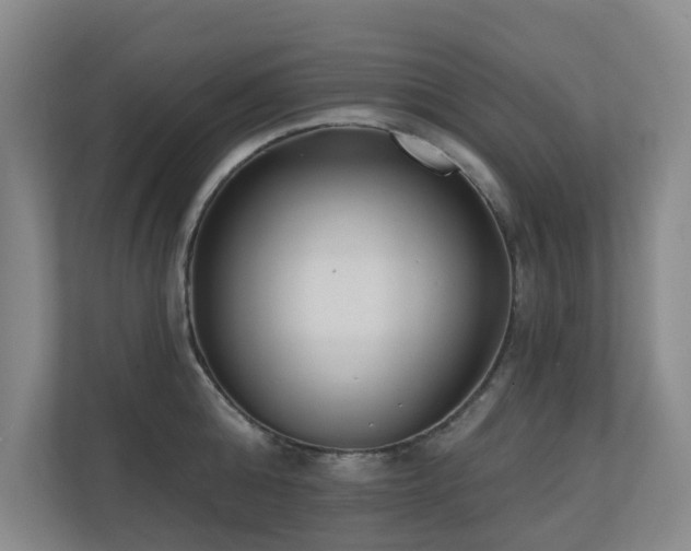 X0000110720808200906121427