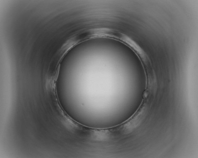 X0000110720809200906121427