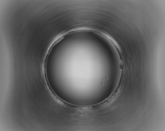 X0000110720813200906121427