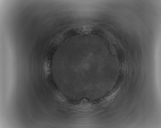 X0000110720818200906121426