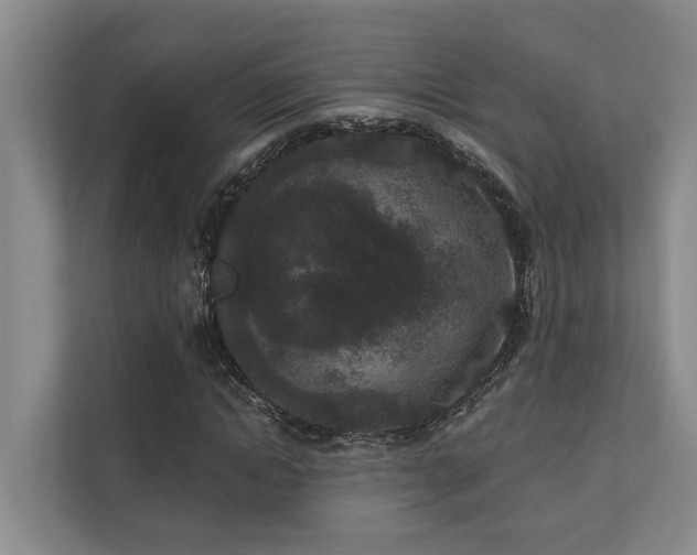 X0000110720822200906121426