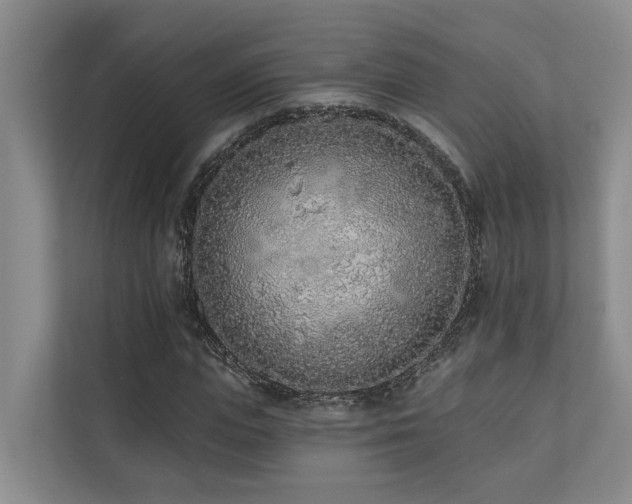 X0000110720823200906121426