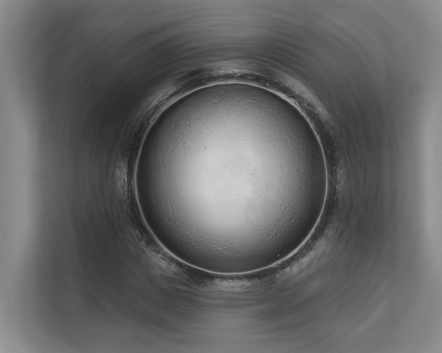 X0000110720825200906121426