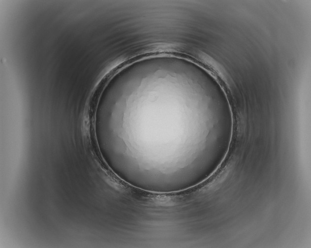 X0000110720827200906121426