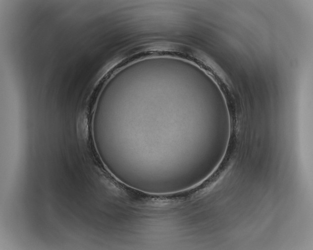 X0000110720829200906121426