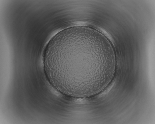 X0000110720835200906121426