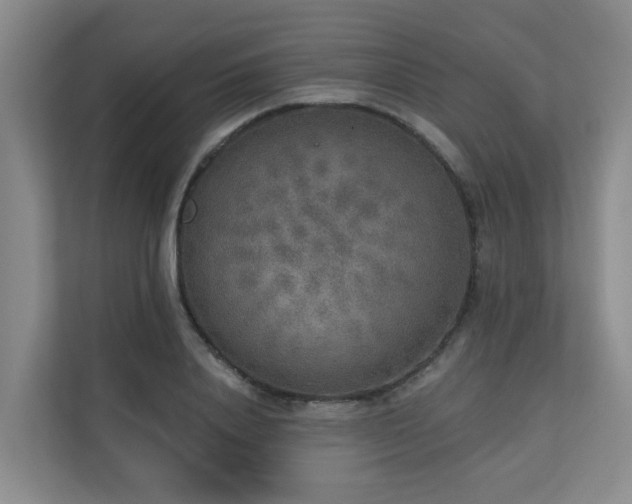 X0000110720840200906121426
