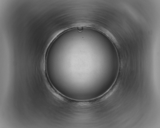 X0000110720844200906121426