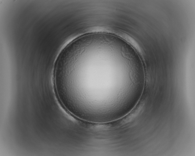 X0000110720847200906121426