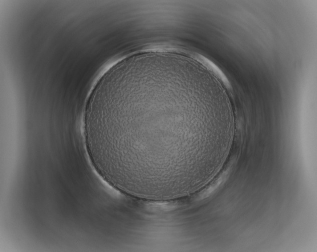 X0000110720855200906121426