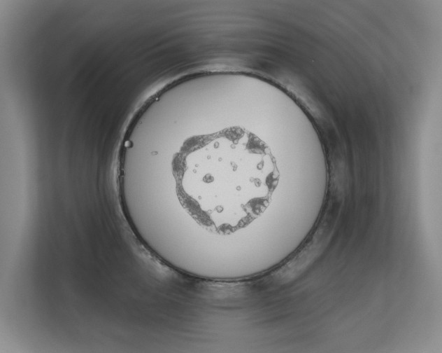 X0000110720856200906121426