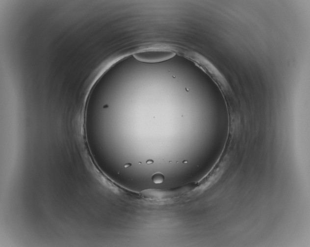 X0000110720860200906121426