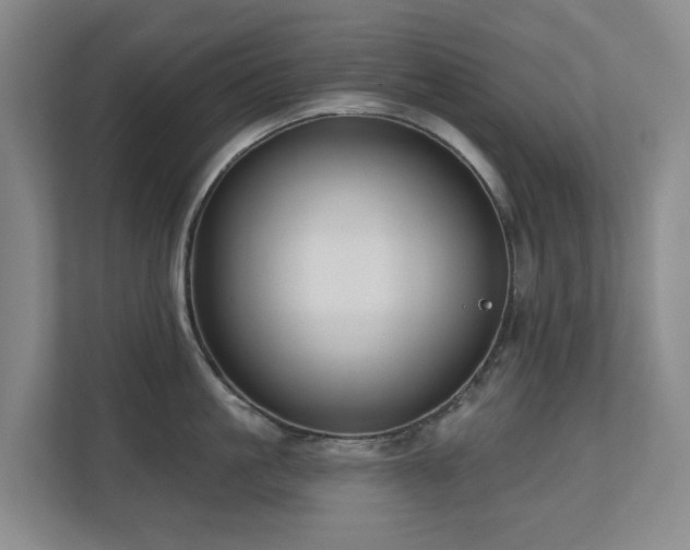 X0000110720861200906121426