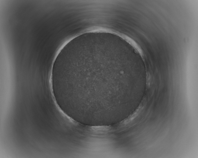X0000110720863200906121427