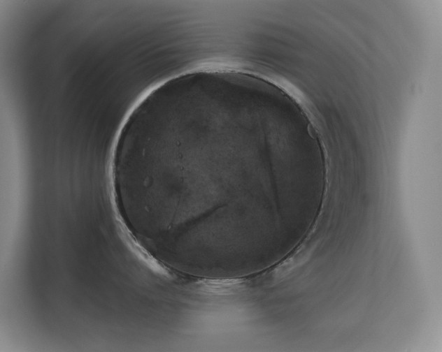 X0000110720864200906121427