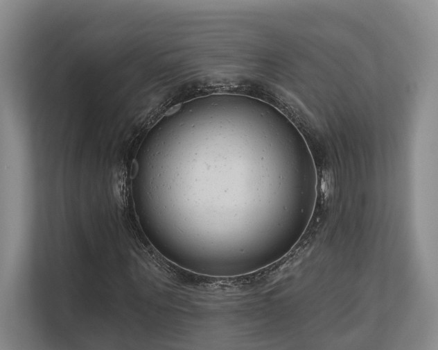 X0000110720867200906121426