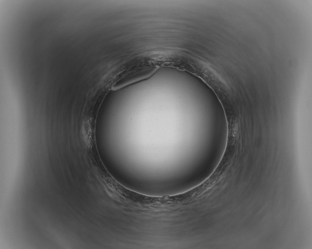 X0000110720868200906121426
