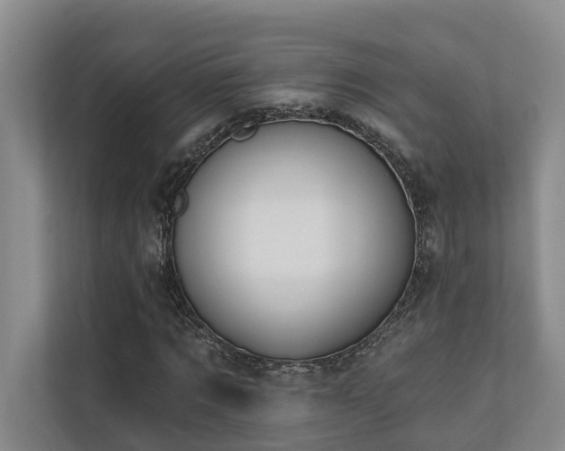 X0000110720869200906121426