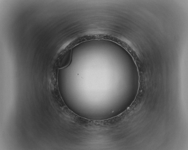 X0000110720871200906121426