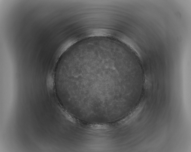 X0000110720874200906121426