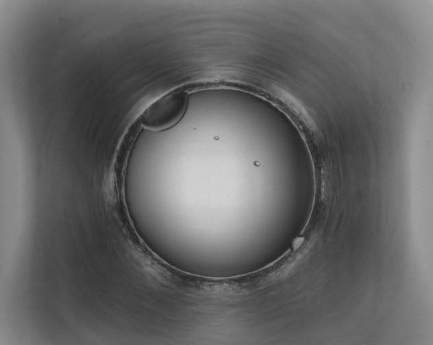 X0000110720876200906121426