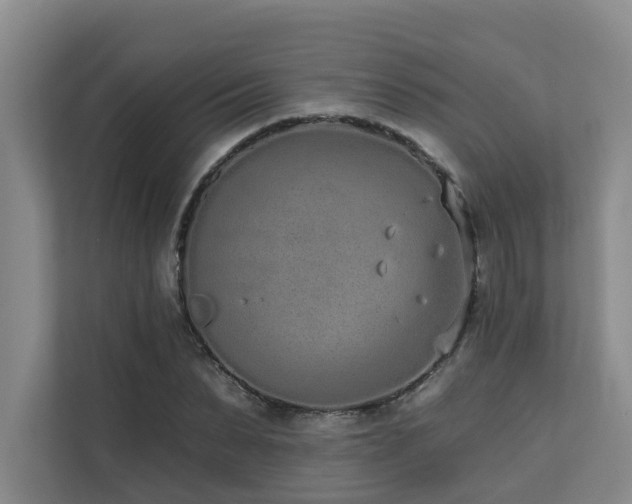 X0000110720879200906121426
