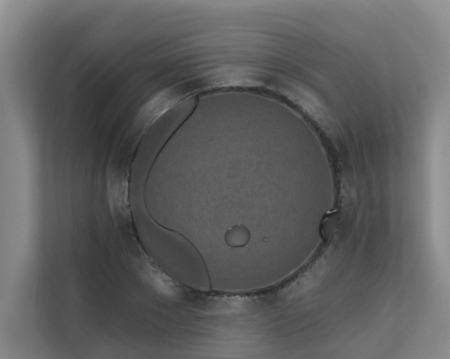 X0000110720881200906121426