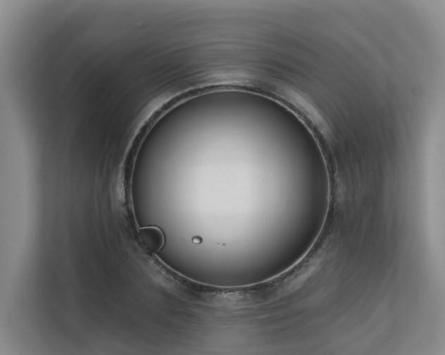 X0000110720883200906121426
