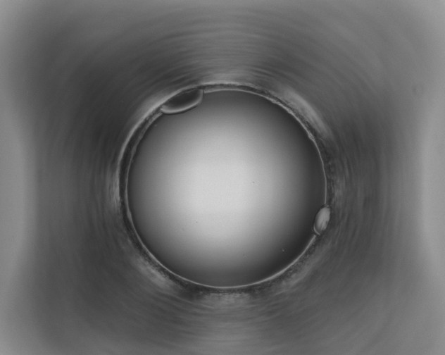 X0000110720884200906121426