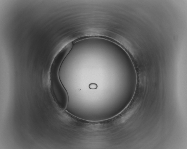 X0000110720885200906121426