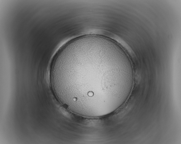 X0000110720886200906121426